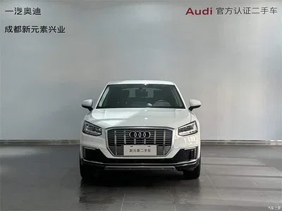 2019 Audi Q2L e-tron Pure Electric Smart Cool Edition, фото 2, лот 10579977