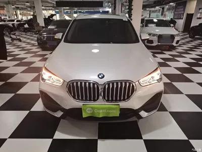 2022 BMW X1 sDrive25Li Leading, фото 3, лот 10467300