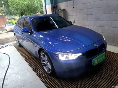 2017 BMW 3 Series 320Li M Sport, фото 4, лот 10457730