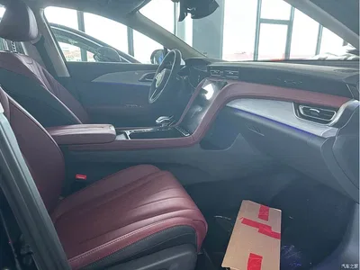 2025 Hongqi H5 2.0T Automatic Flag Celebration 500,000 Units Anniversary Edition, фото 3, лот 10288583