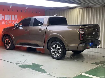 2019 Great Wall Pao 2.0T Automatic Gasoline 4WD Comfort GW4C20B, фото 4, лот 10364263