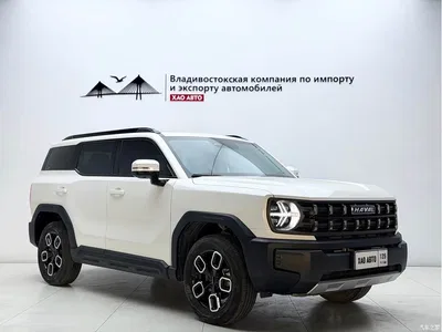 2022 Haval Cool Dog Model 1.5T DCT FWD Trendy Sound Edition, фото 3, лот 11170906