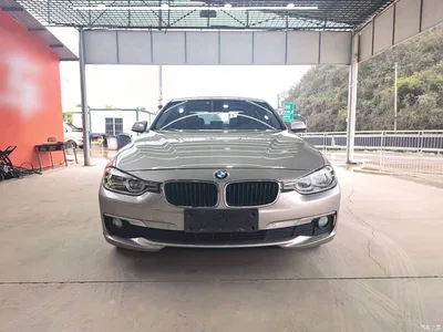 2016 BMW 3 Series 316Li Fashion, фото 3, лот 10457927