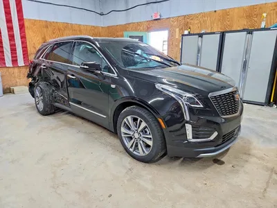 2025 CADILLAC XT5 PREMIUM LUXURY, фото 4, лот 10864536