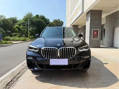 2020 BMW X5 (Import) xDrive30i M Sport Package, фото 2, лот 11219712