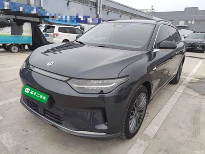 2023 Leapmotor C11 Pure Electric 500 Smart Edition, фото 2, лот 11073499