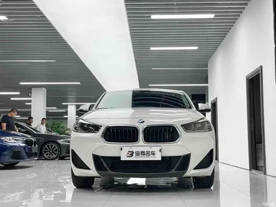 2021 BMW X2 sDrive25i Leading M Sport Package, фото 3, лот 10393857