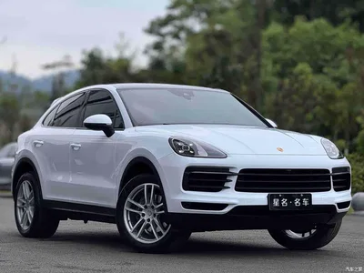 2019 Porsche Cayenne, фото 3, лот 10409912