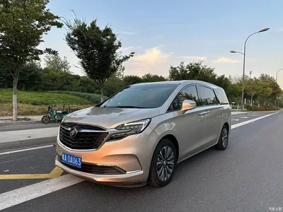 2021 Buick GL8 ES Landlord 653T Luxury, фото 1, лот 10842543
