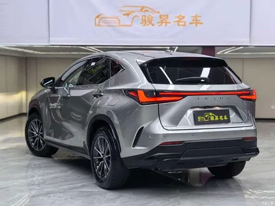 2022 Lexus NX 350h FWD Joy Creation Edition, фото 4, лот 10397720