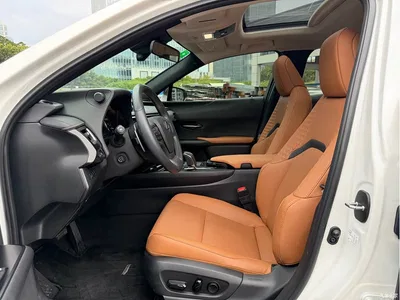 2020 Lexus UX Electric 300e Pure Yue Edition, фото 4, лот 10317418