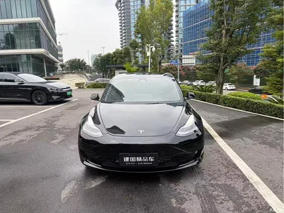 2021 Tesla Model 3 Standard Range Rear-Wheel Drive Upgrade 3D6, фото 2, лот 11132573