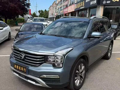 2017 GAC Trumpchi Trumpchi GS8 320T 2WD Luxury Smart Connect (7-seater), фото 1, лот 10415251