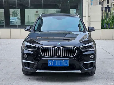 2018 BMW X1 sDrive18Li Premium Model, фото 1, лот 10465686
