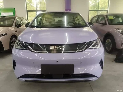 2025 BYD Dolphin Smart Drive Edition 420km Freedom Version, фото 3, лот 10387664