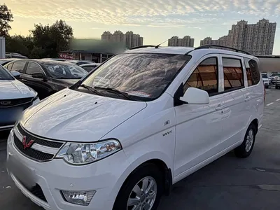 2015 Wuling Motors Wuling Hongguang 1.5L S Basic China V, фото 1, лот 10455711