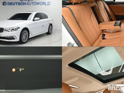 2020 BMW 5-Series 520i Luxury, фото 1, лот 10179273