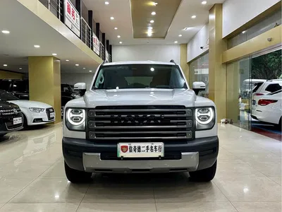 2024 Haval Meng Long NEV Hi4 102 Pro, фото 4, лот 10403583