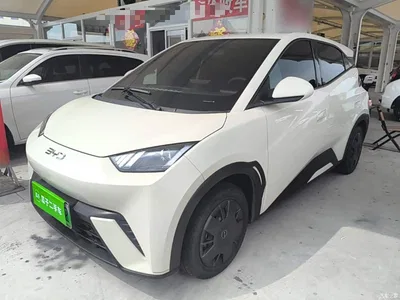 2024 BYD Seagull Glory Edition 305km Vitality Edition, фото 1, лот 10260429