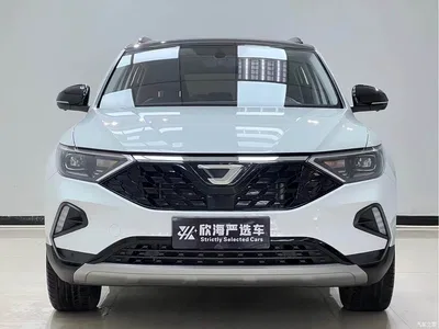 2021 Jetta VS7 Panda Edition 1.4T Auto Glory Edition, фото 2, лот 10424295