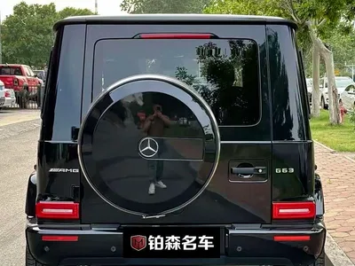 2020 Mercedes-Benz G-Class G 350, фото 4, лот 10295727