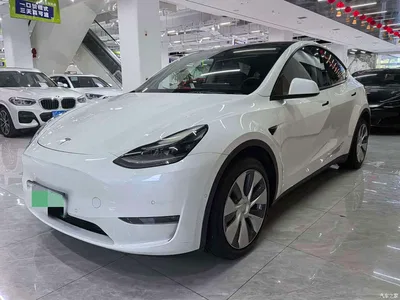 2021 Tesla Model Y Standard Range Rear-Wheel Drive, фото 1, лот 10442872