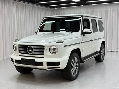 2019 Mercedes-Benz G-Class Facelift G 500, фото 2, лот 10280887