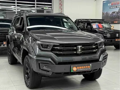 2023 Tank 400 New Energy Hi4-T Super Edition, фото 2, лот 11586503