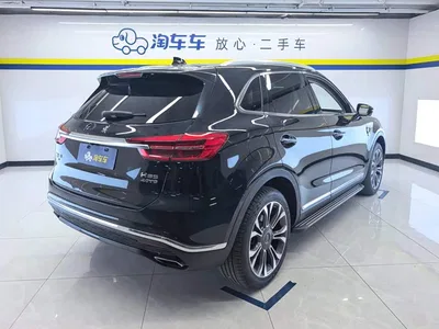 2019 Hongqi HS5 2.0T Smart Connect Enjoy 4WD Edition, фото 3, лот 10899622