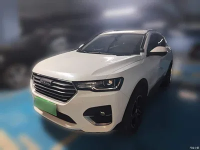 2020 Haval H4 Enjoy Edition 1.5T DCT Smart, фото 1, лот 11222156