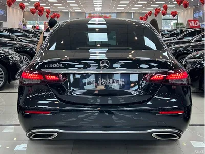 2023 Mercedes-Benz E-Class E 300 L Luxury, фото 4, лот 11196474