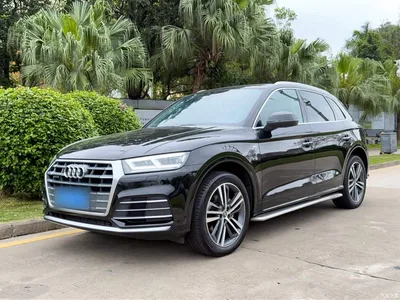 2020 Audi Q5L Facelift 40 TFSI Honor Fashion, фото 2, лот 10456764