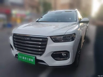 2020 Haval H6 2.0GDIT Automatic Platinum Champion Edition, фото 2, лот 10286761