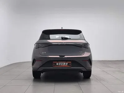2025 BYD Dolphin Smart Drive Edition 410km Fashion Version, фото 4, лот 10250187