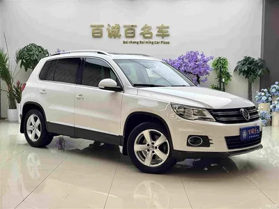 2010 Volkswagen Tiguan 1.8TSI Automatic 2WD Elite, фото 3, лот 10478234
