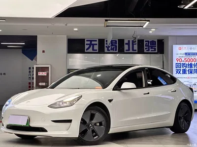 2021 Tesla Model 3 Standard Range Rear-Wheel Drive Upgrade 3D6, фото 2, лот 10816100