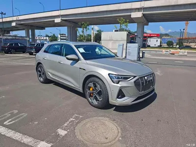 2021 Audi e-tron 50 quattro Exclusive Selection, фото 3, лот 11206254