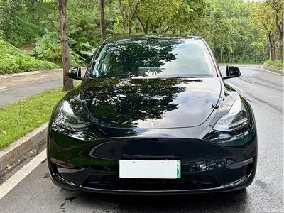 2021 Tesla Model Y Model Long Range AWD, фото 2, лот 10386535