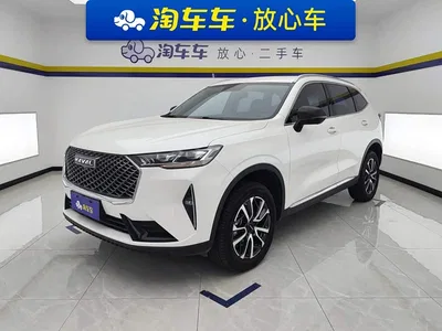 2021 Haval H6 3rd Gen 1.5T Auto 2WD Pro, фото 1, лот 11459760