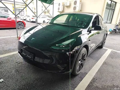 2024 Tesla Model Y Long Range AWD, фото 1, лот 10383221