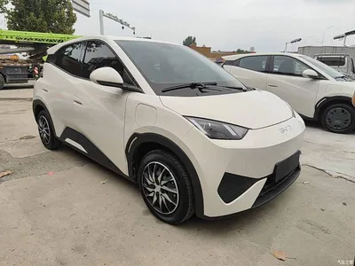 2025 BYD Seagull Smart Drive Edition 305km Vitality Version, фото 4, лот 11242143