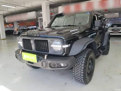 2023 Tank 300 2.0T Iron Cavalry 02, фото 1, лот 11012134