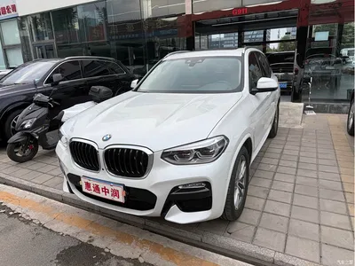 2018 BMW X3 xDrive30i Leading M Sport Package China V, фото 3, лот 10900478