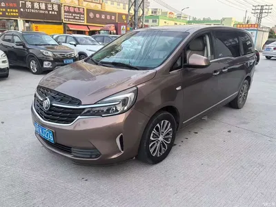 2020 Buick GL8 Model Land Business Class 652T Luxury, фото 1, лот 10250178