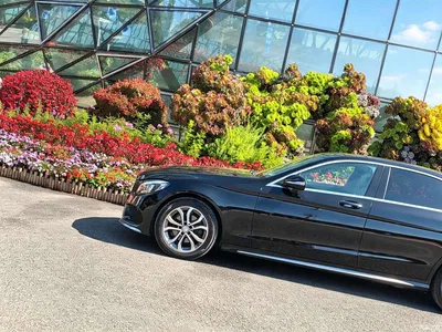 2015 Mercedes-Benz C-Class C 200 L Sport, фото 4, лот 10394278