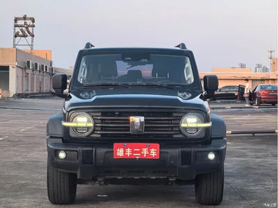 2023 Tank 300 Off-Road Edition 2.0T Challenger, фото 2, лот 10344503