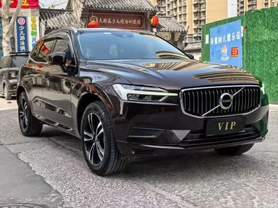 2019 Volvo XC60 T5 4WD Intelligent Distance China VI, фото 2, лот 10365903