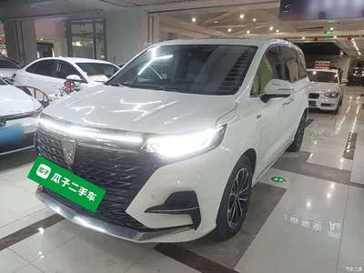 2022 Roewe iMAX8 400TGI Gathering Edition, фото 1, лот 10340586
