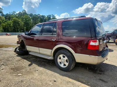 2009 FORD EXPEDITION EDDIE BAUER, фото 2, лот 10507172