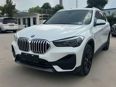 2021 BMW X1 sDrive20Li Exclusive, фото 1, лот 10465864